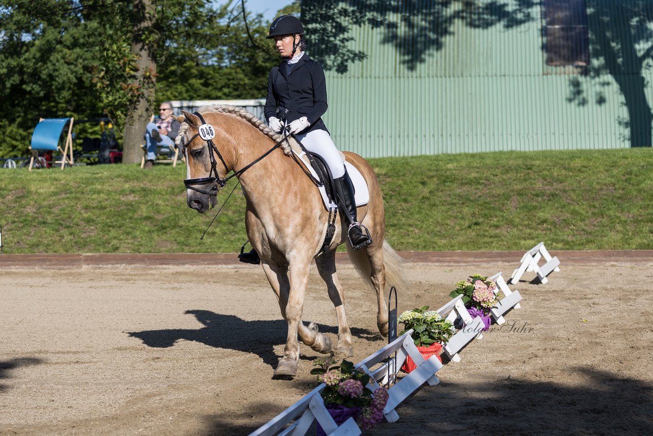 Bild 104 - Pony Akademie Turnier